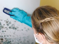 Infoabend zu Ursachen und Bekämpfung von Schimmel in Wohnungen