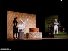 Homburger stimmt über das Theaterprogramm ab