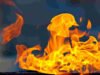Illinger Waldbrand löst Grünen-Forderung nach Klimaschutzpaket aus