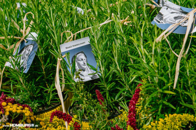 gottesdienst_homburg_082019_foto_stephan_bonaventura-1577506