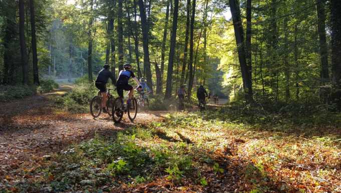 radlerfreunde_tourenfahren_1