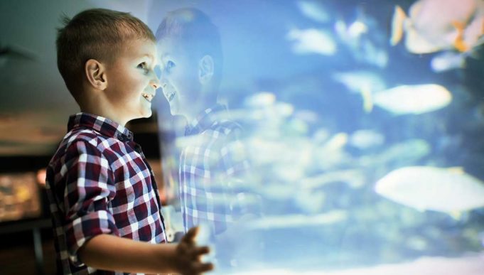 junge_aquarium_1
