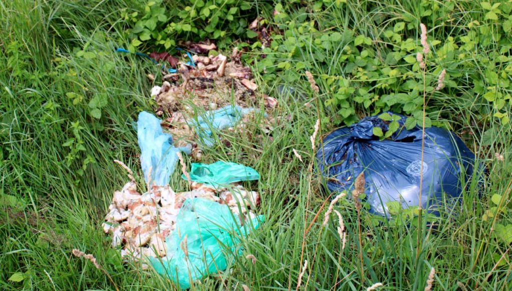 Fleischreste und Schlachtabfälle illegal entsorgt - Homburg1