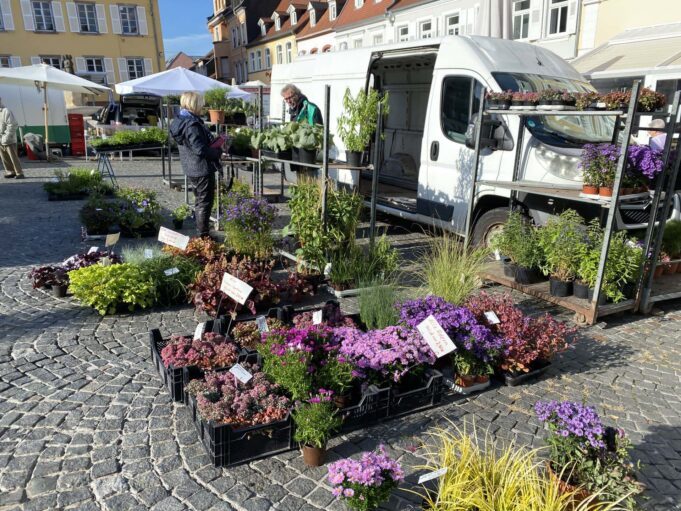 wochenmarkt_0312