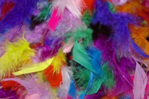 feathers, colorful feathers, carnival