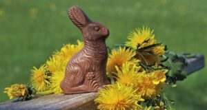 easter, rabbit, dandelion