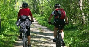 to go biking, leisure time, recreation