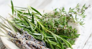 herbs, french, bouquet