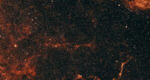 brown and black galaxy illustration