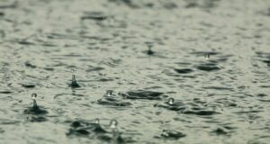 water, raindrops, raining