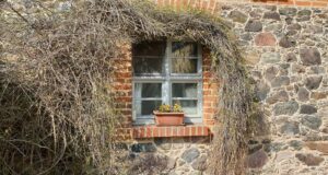 a brick building with a window and a plant growing out of it