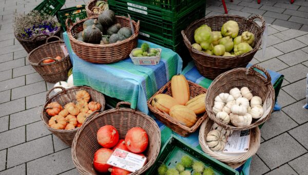 landmarkt_foto_stephan_bonaventura-0000261