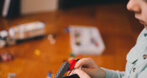 toddler's playing building block toys