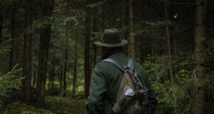 forest, nature, hunter
