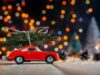 Weihnachtsbäume bleiben in Jägersburg, Websweiler und Altbreitenfelderhof bei vier Euro