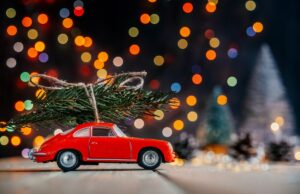 Weihnachtsbäume bleiben in Jägersburg, Websweiler und Altbreitenfelderhof bei vier Euro