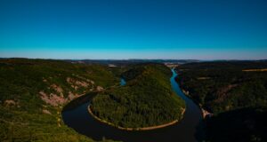 aerial view of green trees and river during daytime