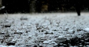drops, rain, rain drops