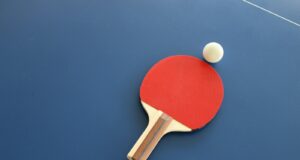 red and brown wooden table tennis racket