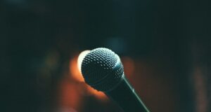 a microphone that is sitting on a stand