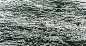 body of water during daytime