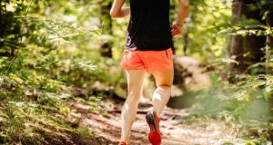 trail, running, forest