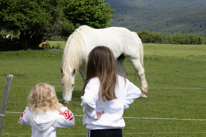 a woman and a little girl standing in front of a white horse