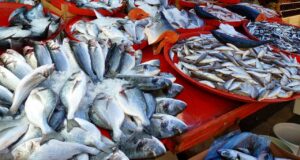 fish, market, farmers local market
