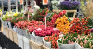assorted flowers in container on display