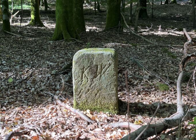 St. Ingbert_2022_Kleberbachtal_Grenzstein_KW_Koeniglicher_Wald_Foto_Wolfgang_Henn