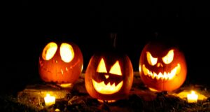 jack o lantern on brown dried leaves
