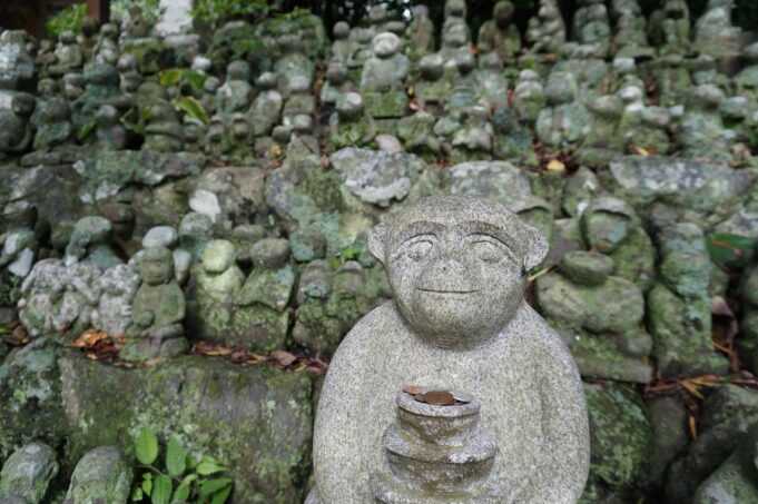 monkey-4586301_1280