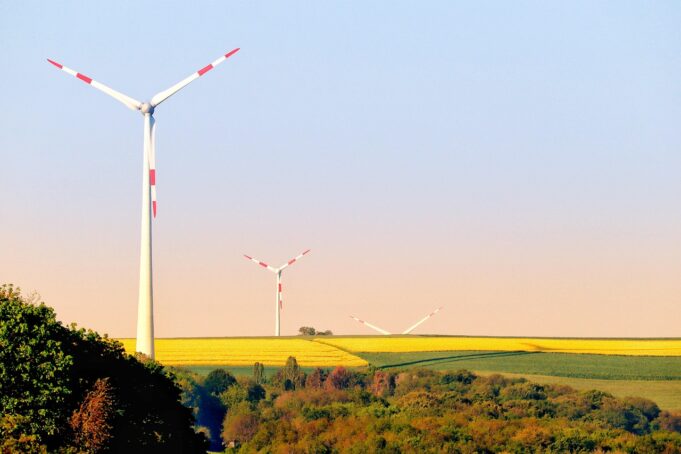 windmill, wind energy, wind farm, nature, climate protection, environmental protection, field of rapeseeds, sunrise, landscape