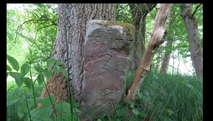 stein_nr_70