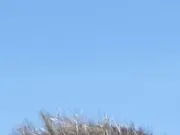 Altstadt: FDP-Politiker Karsten Betz neuer Ortsvorsteher