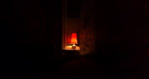 white and brown table lamp on top of surface