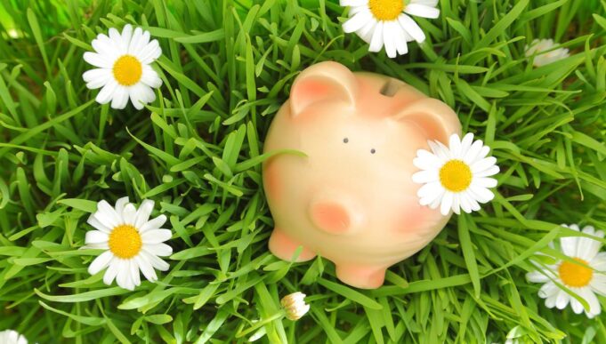 Sparschwein Geld Glück