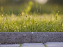 KVHS bietet kostenlose Gartenpflege im Herbst in Mandelbachtal an