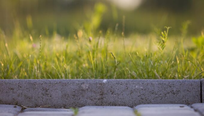 Garten Rasen