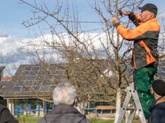 Ran an die Schere: Kostenloser Profikurs in Erbach bringt Obstbäume in Topform