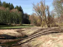 Mühlenbach wird renaturiert: Exkursion zeigt Projekt in Spiesen-Elversberg