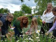 Blieskastel: Kräuterworkshop macht Biosphären-Sirup aus Wildpflanzen