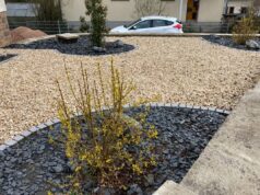St. Ingbert geht gegen Schottergärten vor: Begrünungspflichten sollen greifen
