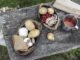 Wildniscamp in Kirkel: Drei Tage Naturerlebnis im Bliesgau