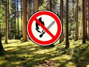St. Ingbert warnt vor erhöhter Waldbrandgefahr bei Trockenheit