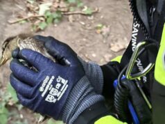 Feuerwehr Jägersburg rettet Entenküken aus Ablaufrohr am Schlossweiher