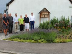 Beeden: Blühbeet wird zum Vorbild für Natur- und Artenschutz