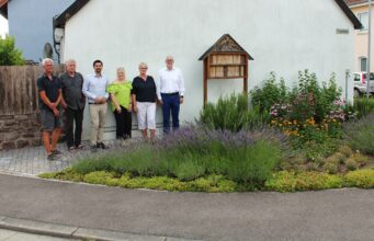 Beeden: Blühbeet wird zum Vorbild für Natur- und Artenschutz