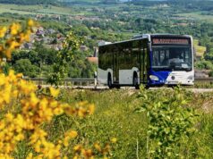 Biosphärenfest in Walsheim: Straße gesperrt, Busse und Shuttles fahren öfter