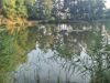 Badewannenrennen in Niederbexbach kehrt an den Angelweiher zurück